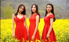 当下的力量txt下载